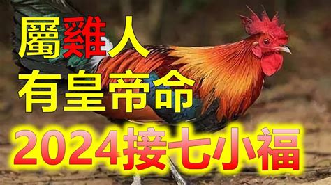 屬雞個性|屬雞出生年份/幾多歲？屬雞性格特徵+生肖配對+2024。